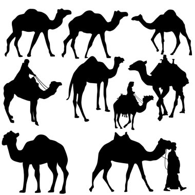 Develer siluetleri kümesi