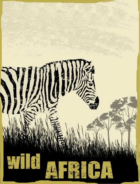Wildafrika-Bild mit Zebra — Stockvektor