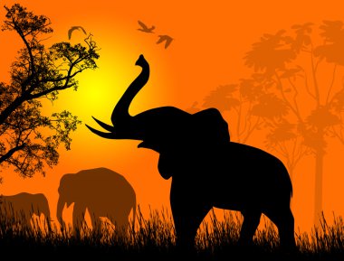 Wild elephants at sunset clipart