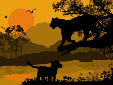 ağaç üzerindeki Panter siluet görünümü