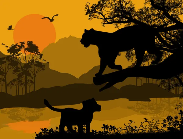 Silhouetten-Ansicht des Panthers auf einem Baum — Stockvektor
