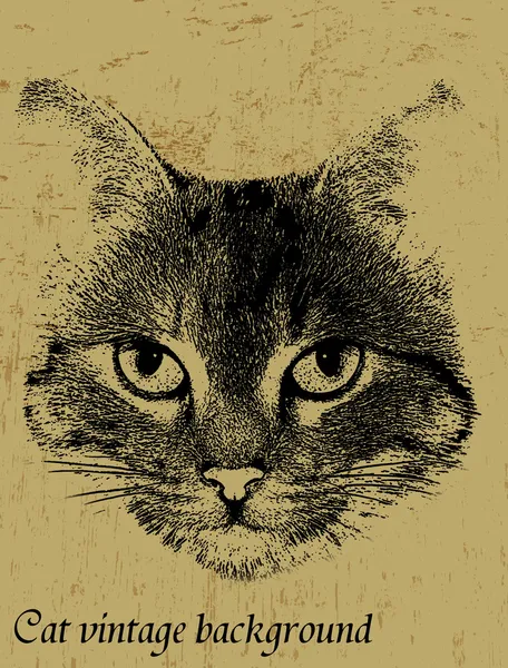 Fondo vintage con tema de gato — Vector de stock