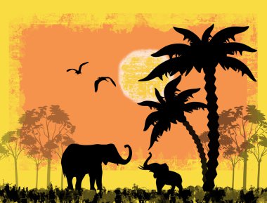 Filler ile Afrika safari Tema