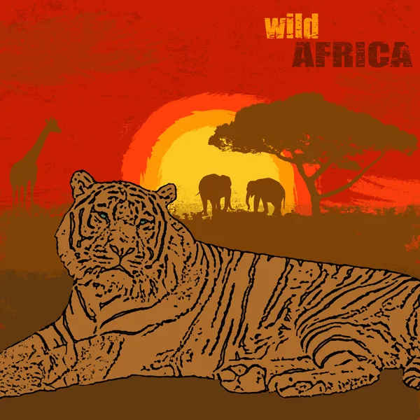 León en grunge africana puesta de sol — Vector de stock