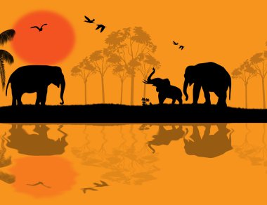 gün batımında Afrika yaban hayatı
