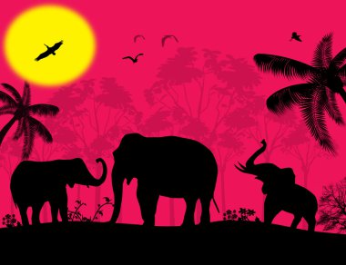 gün batımında Afrika yaban hayatı