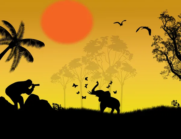 Photographer at sunset shoot a baby elephant — Stock Vector