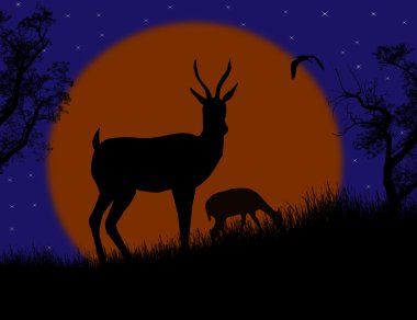 Ceylan çift vahşi doğa manzara