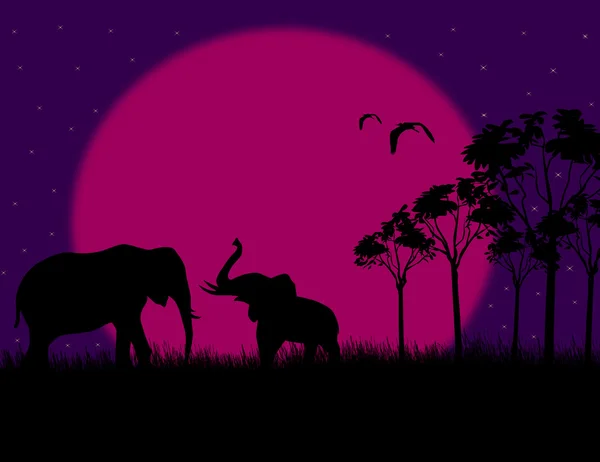 Иллюстрация силуэта двух слонов ночью — стоковый вектор