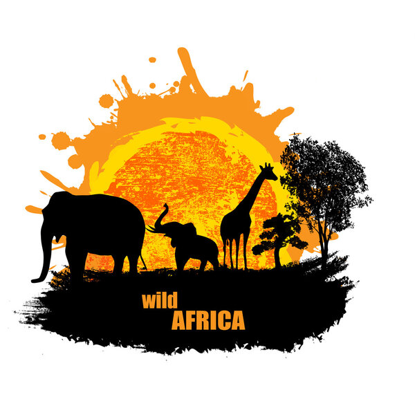 Векторная иллюстрация заката в дикой Африке
