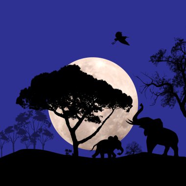 gün batımında Afrika yaban hayatı