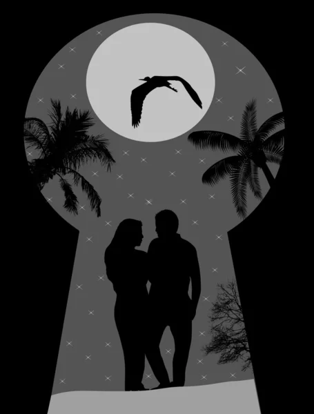 Silhouette d'un amoureux sur paysage nocturne vu à travers un trou de clé — Image vectorielle