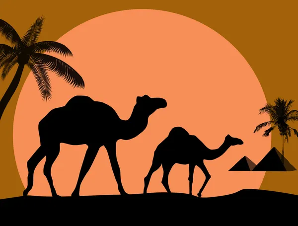 Camelo e palmas no fundo do pôr do sol — Vetor de Stock