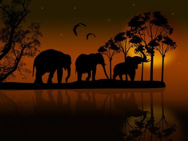 Afrika filleri siluet su yakınında