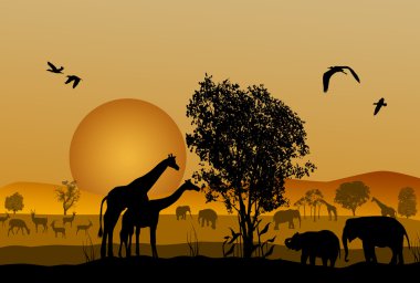 safari hayvan yaban hayatı silüeti
