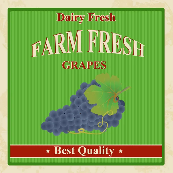 Cartel de uvas frescas de granja Vintage — Archivo Imágenes Vectoriales