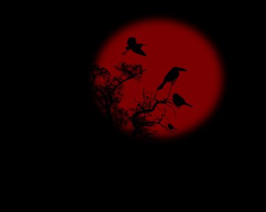 gece kuzgun kırmızı dolunay ile bir ağaç üzerinde