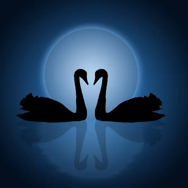 Dois cisnes sob o pôr do sol azul — Vetor de Stock