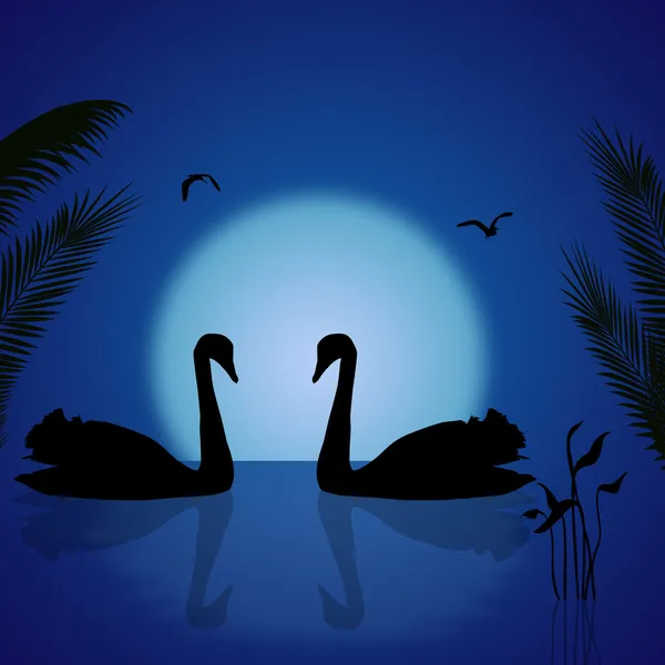 Dois cisnes sob o pôr do sol azul — Vetor de Stock