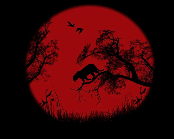 Silhouette des Leoparden auf Baum — Stockvektor