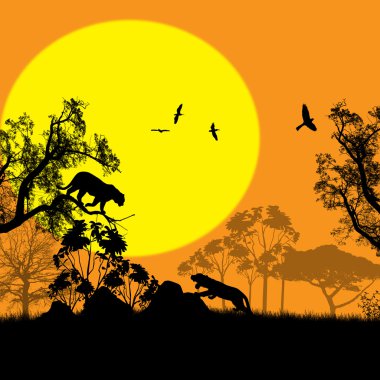 vahşi kediler wildernes içinde