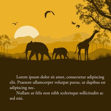 Vahşi Afrika hayvanları siluetleri poster