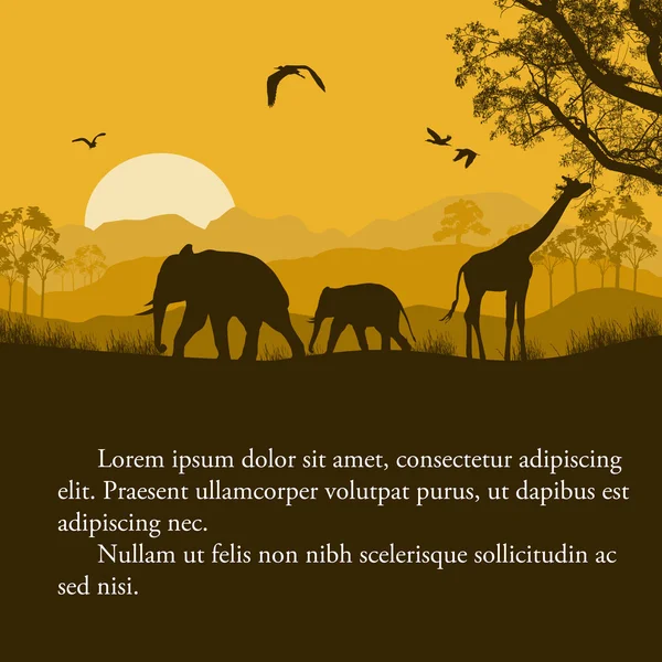 Wilde afrikanische Tiere Silhouetten Poster — Stockvektor