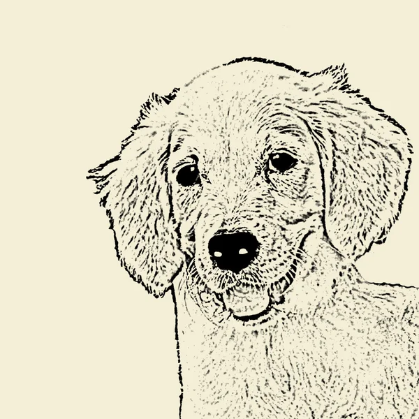 Плакат с собачьей головой — стоковый вектор