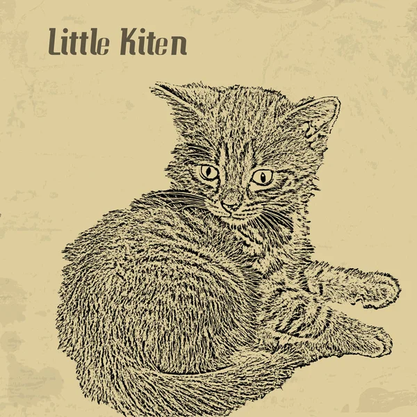 Lilla kiten vintage affisch — Stock vektor