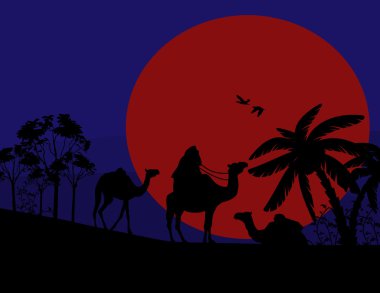 Sahra Çölü 'nde gün batımı