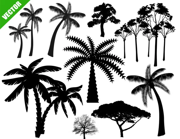 Ensemble de silhouette d'arbres — Image vectorielle