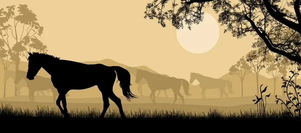 Troupeau de chevaux fond — Image vectorielle