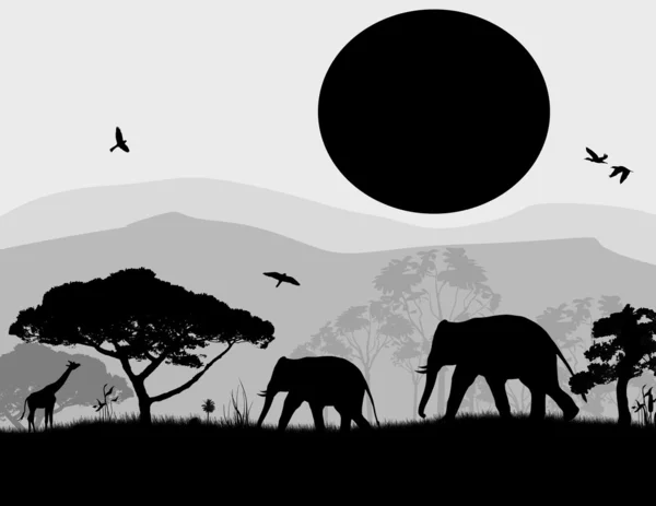 Dzikie słonie i żyrafy na zachodzie słońca — Wektor stockowy