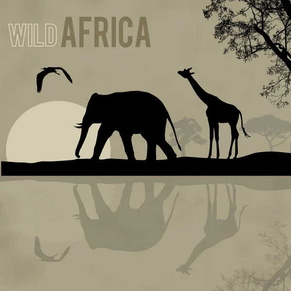 Poster da áfrica selvagem — Vetor de Stock