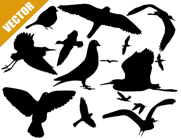 Kuş silhouettes kümesi — Stok Vektör
