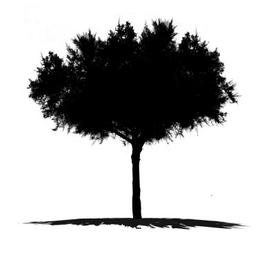 vektör çizim ağacı