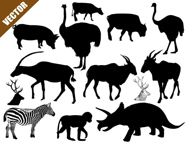 Uppsättning av djur samling — Stock vektor