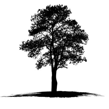 Vector drawing of the tree clipart