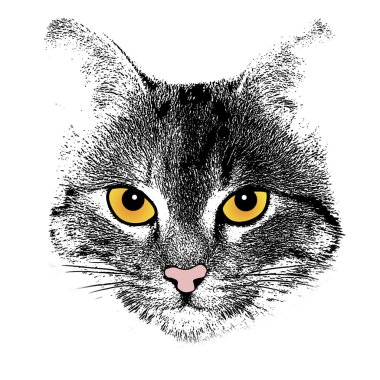 Beyaz yüzüne stilize kedi