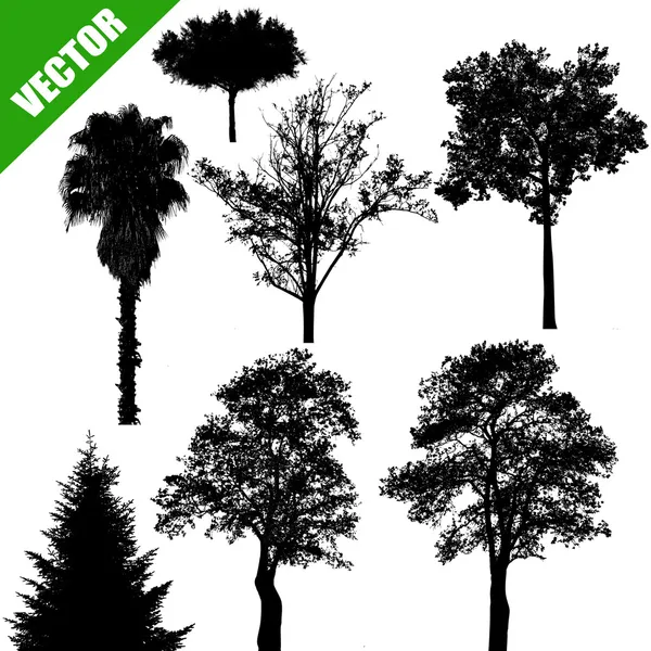 Divers arbres sur blanc — Image vectorielle