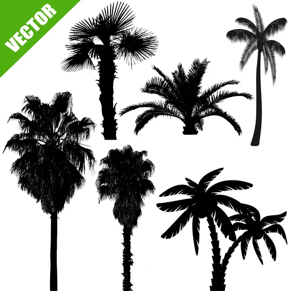 Set of palm tree silhouettes — Stock Vector