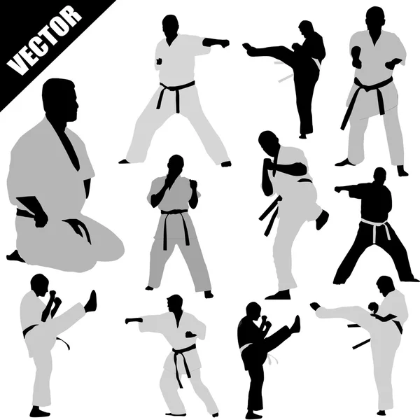 Karate harcos sziluettek — Stock Vector