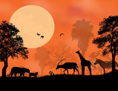 gün batımı safari