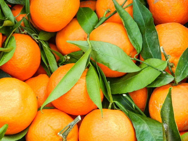 Fresh mandarin oranges — Stock Photo, Image