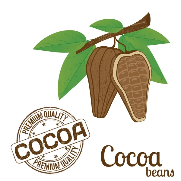 Kakaobohnen und Kakaomarken — Stockvektor
