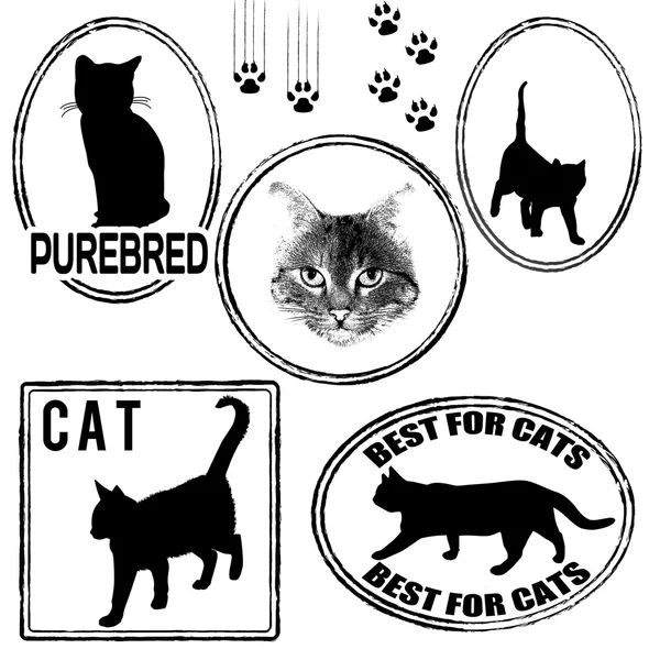 Set van katten postzegels — Stockvector