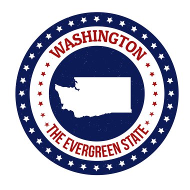Washington damgası