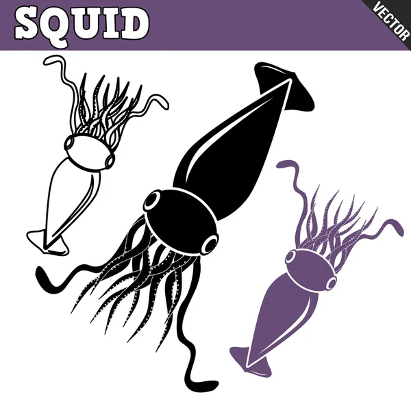 Squid set — Stock Vector