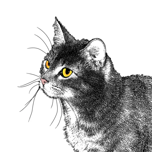 Стилизованное кошачье лицо — стоковый вектор