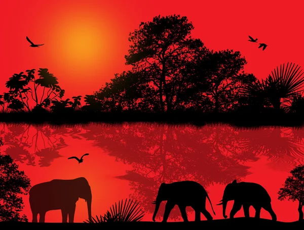 Silueta de elefantes en África — Vector de stock
